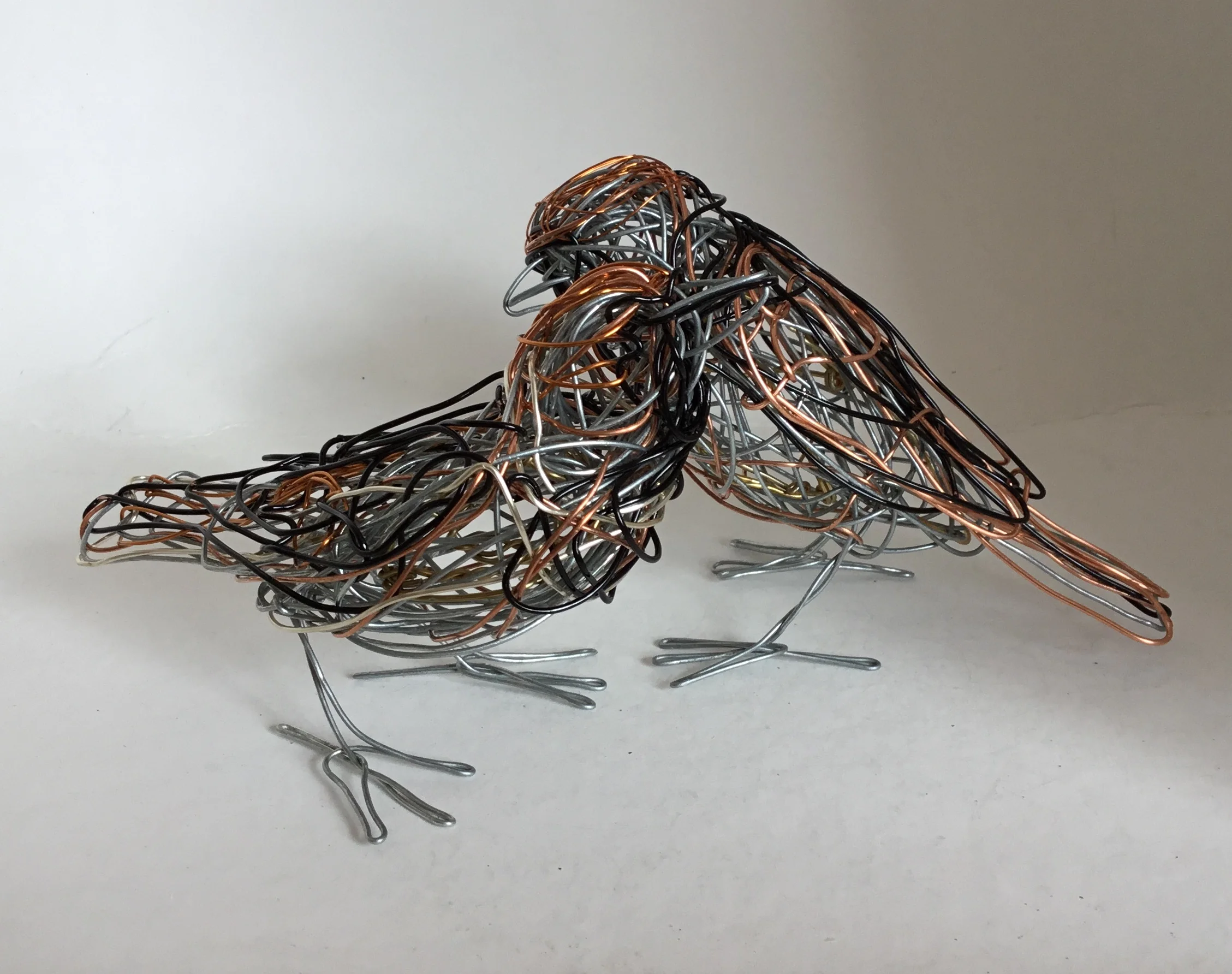 Sparrows