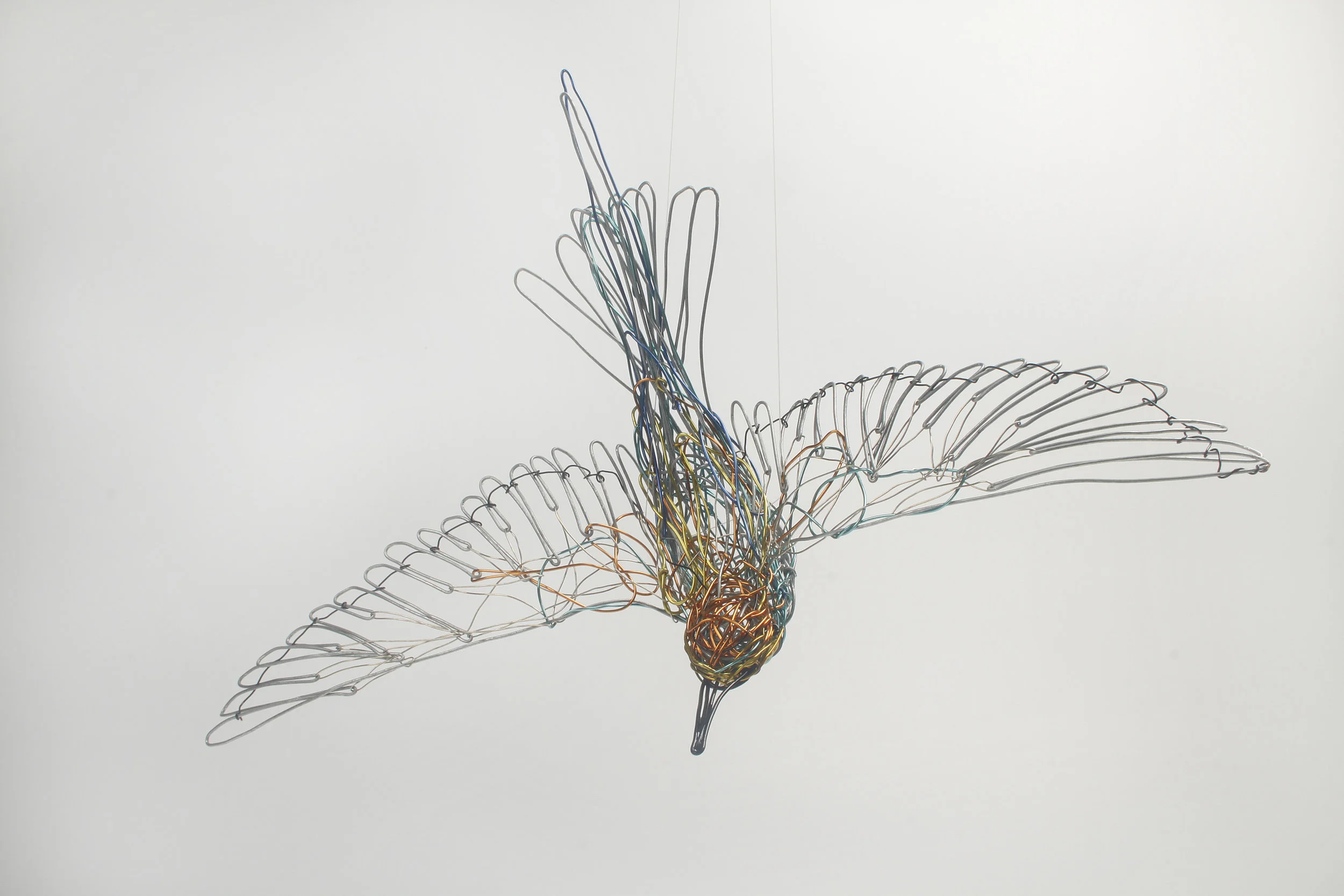 European Bee Eater II