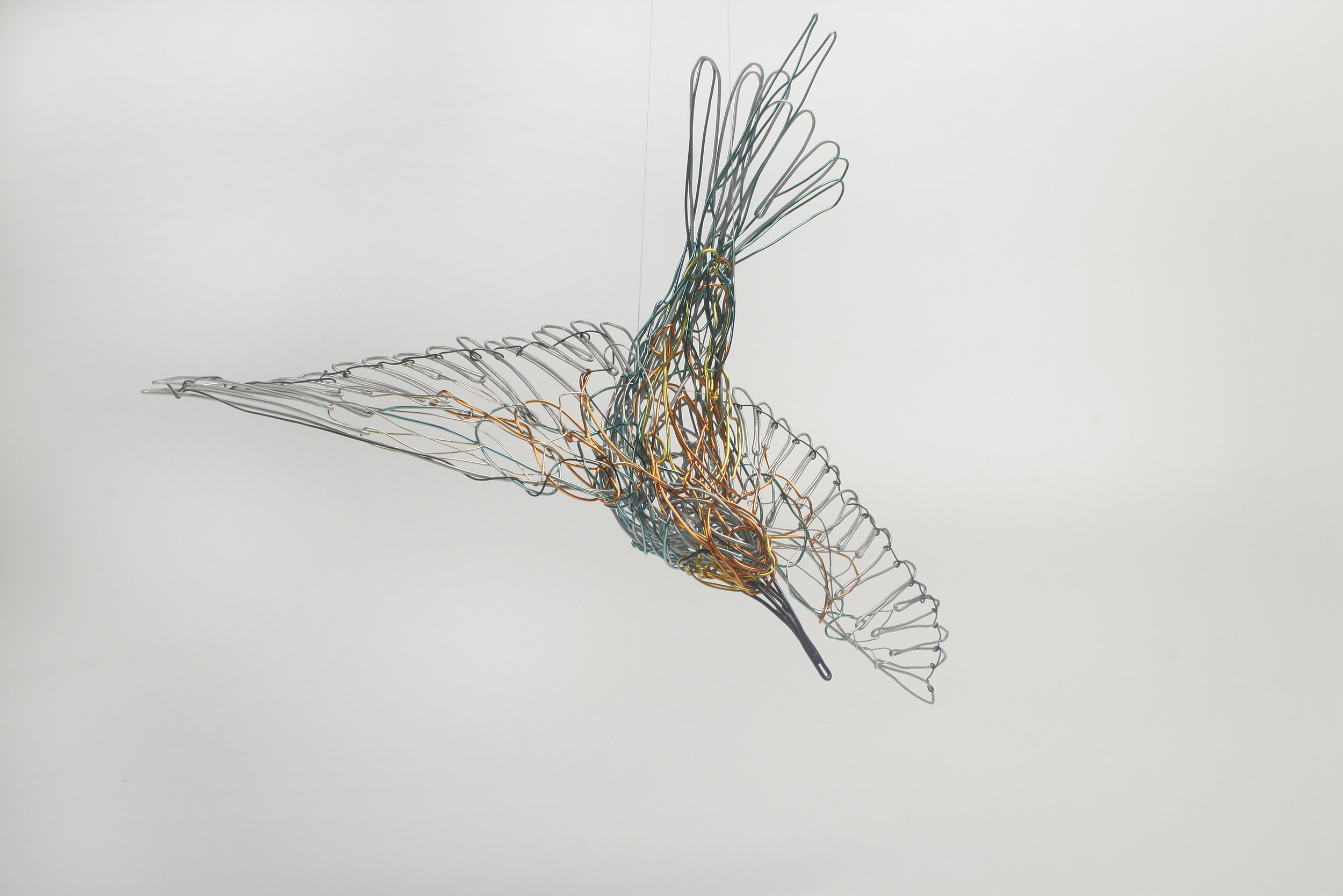 European Bee Eater III