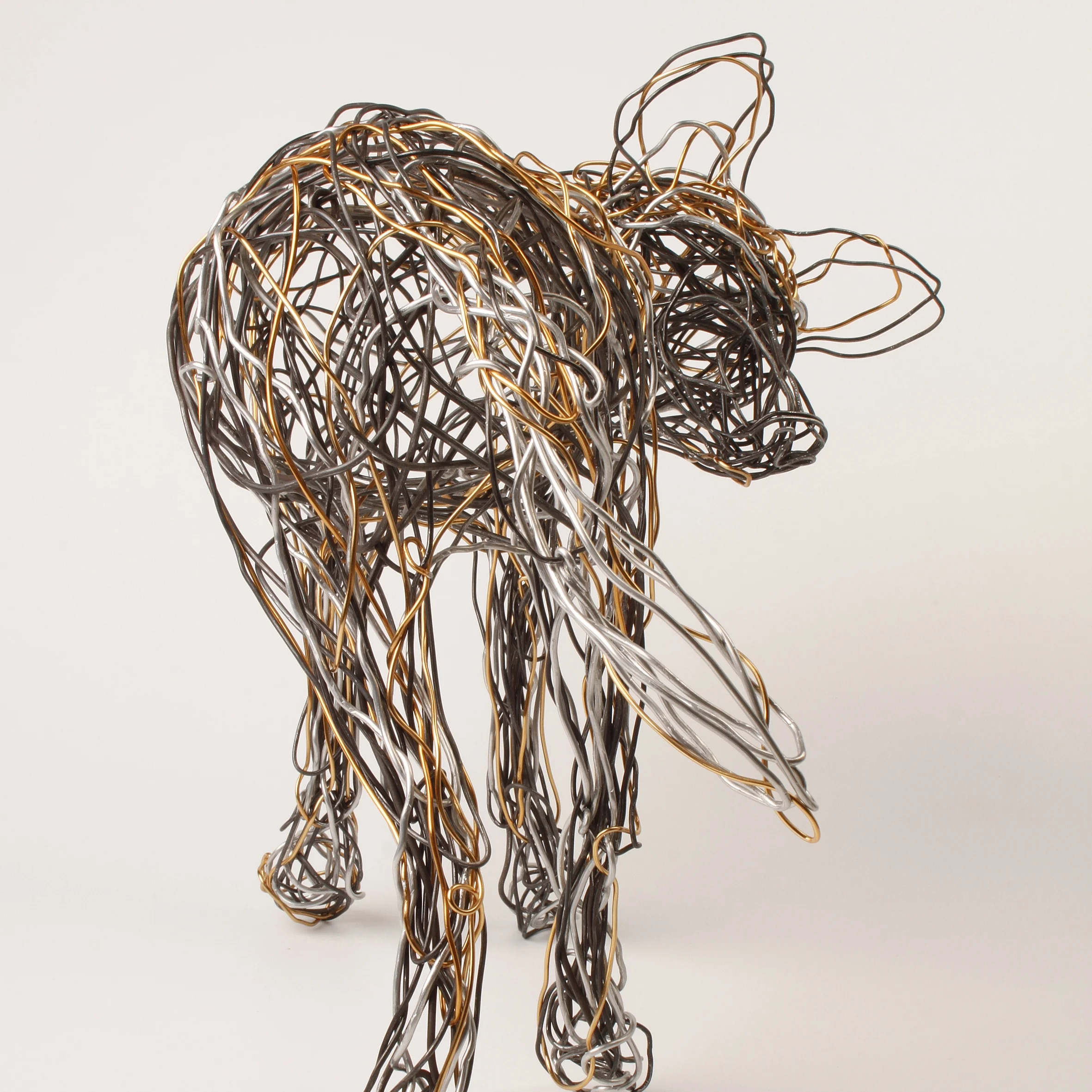 WILDLIFE ARTIST OF THE YEAR 2019