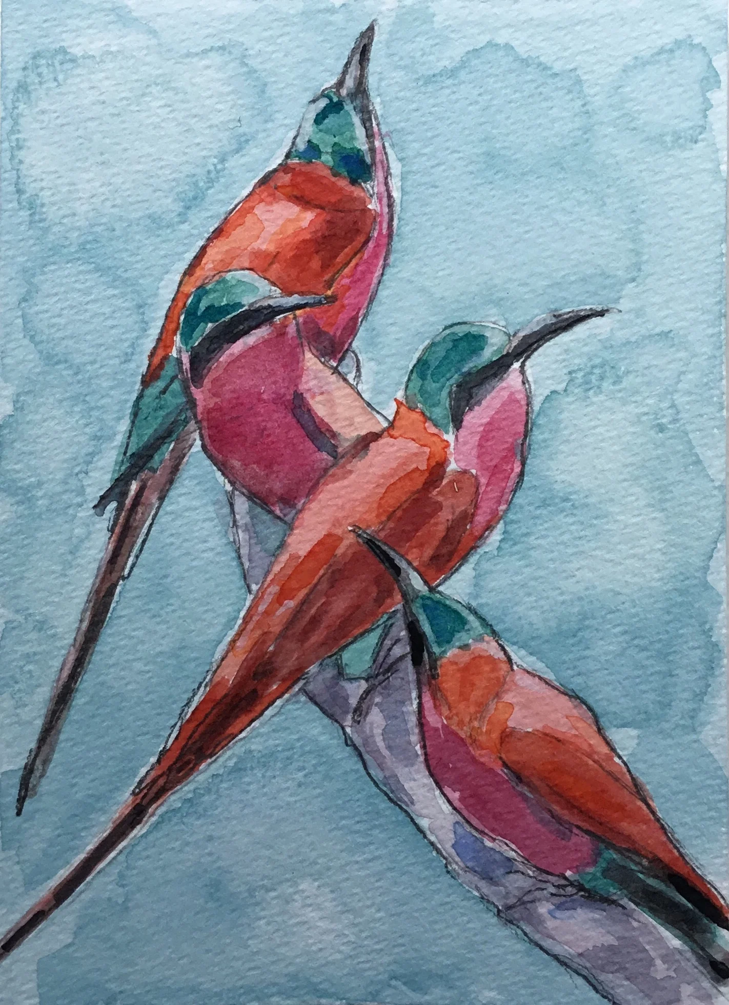 Southern Carmine Bee Eaters