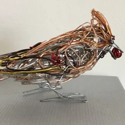 hungrywaxwing.jpg