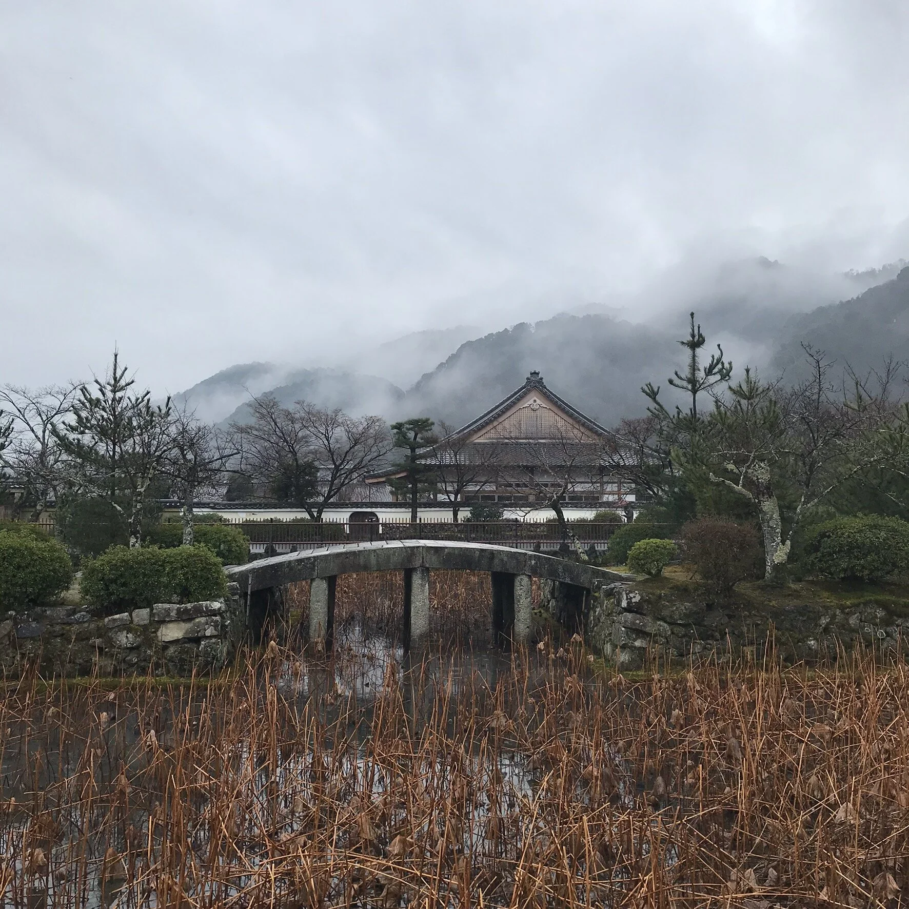 IMG_7611.jpeg