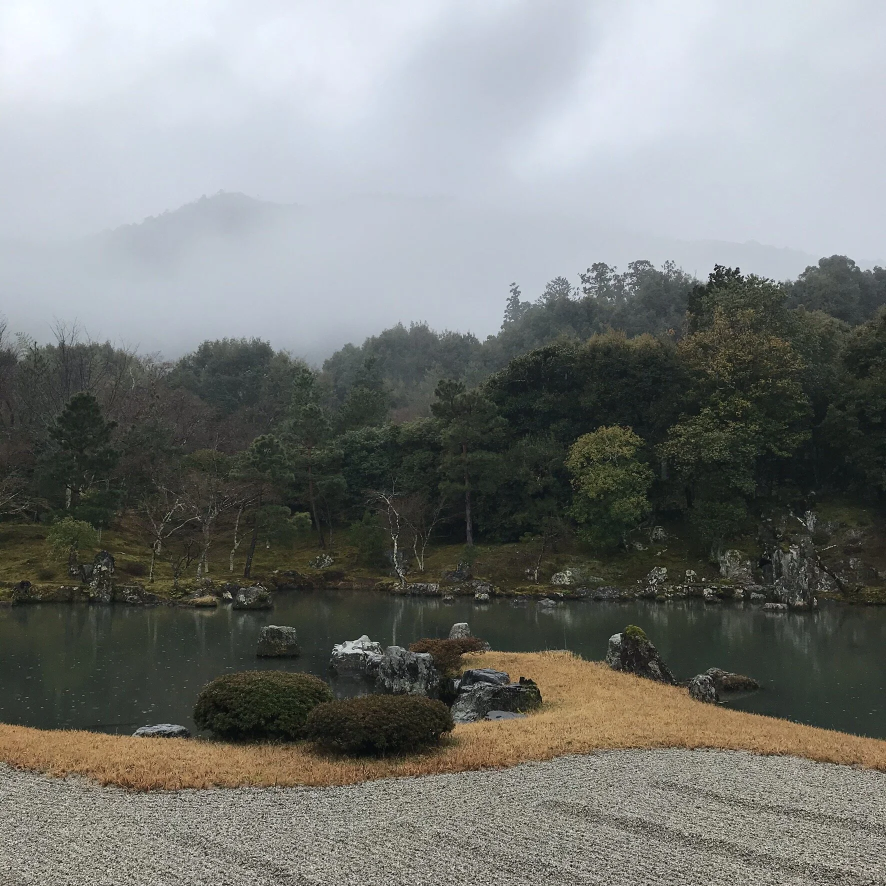 IMG_7595.jpeg