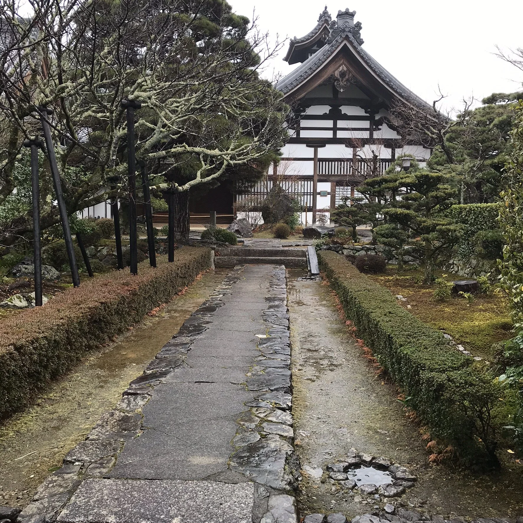 IMG_7610.jpeg