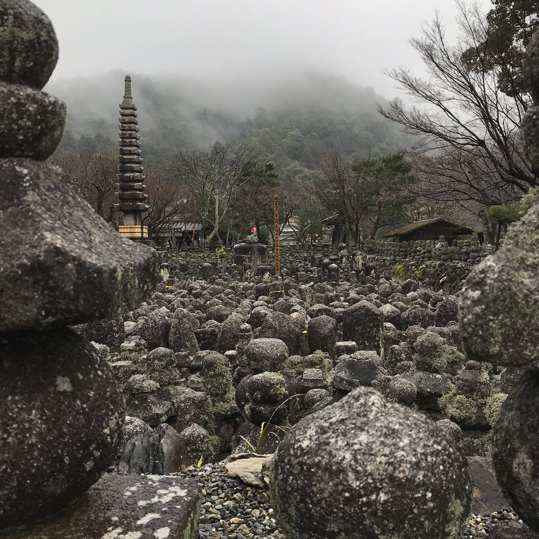 IMG_7624.jpeg