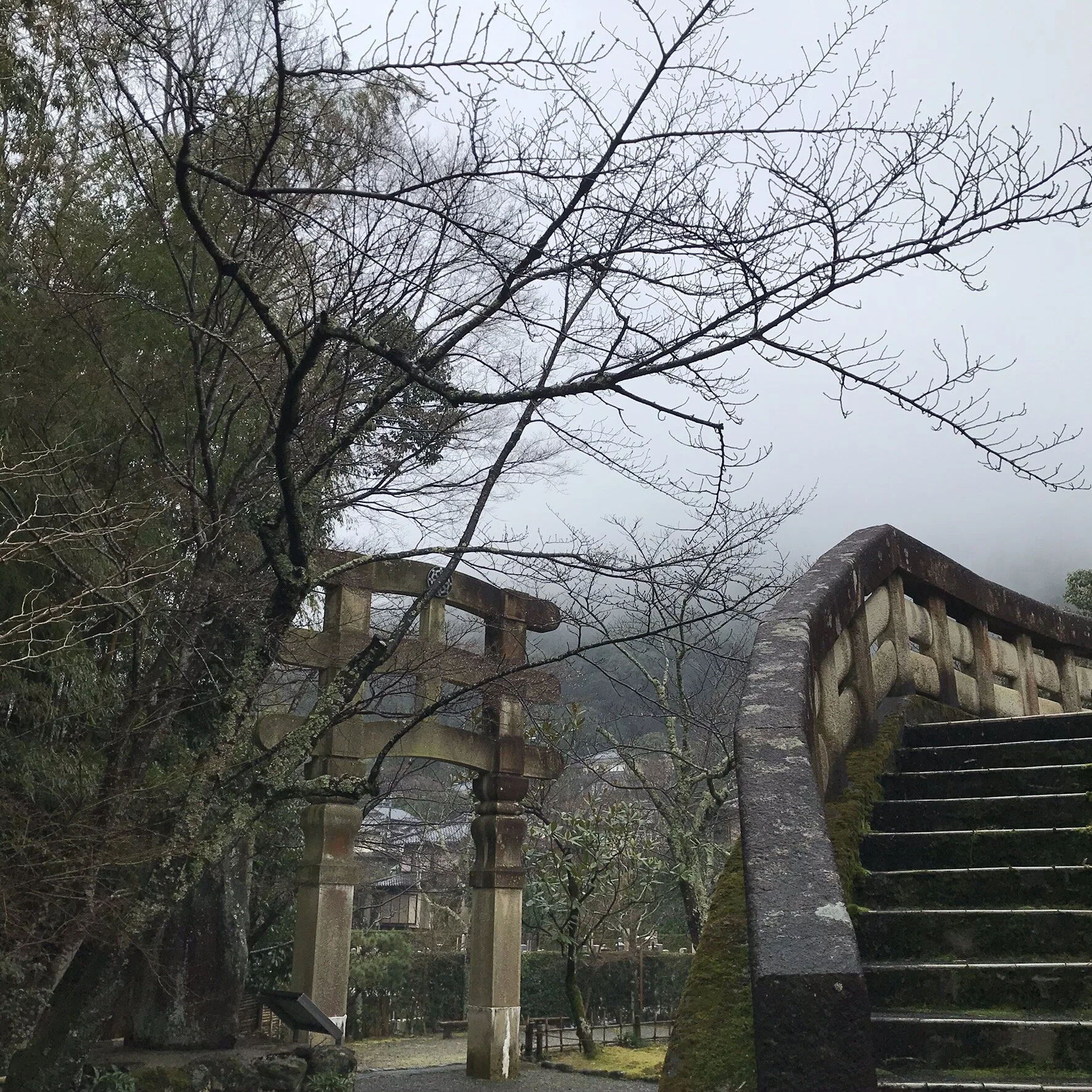 IMG_7622.jpeg