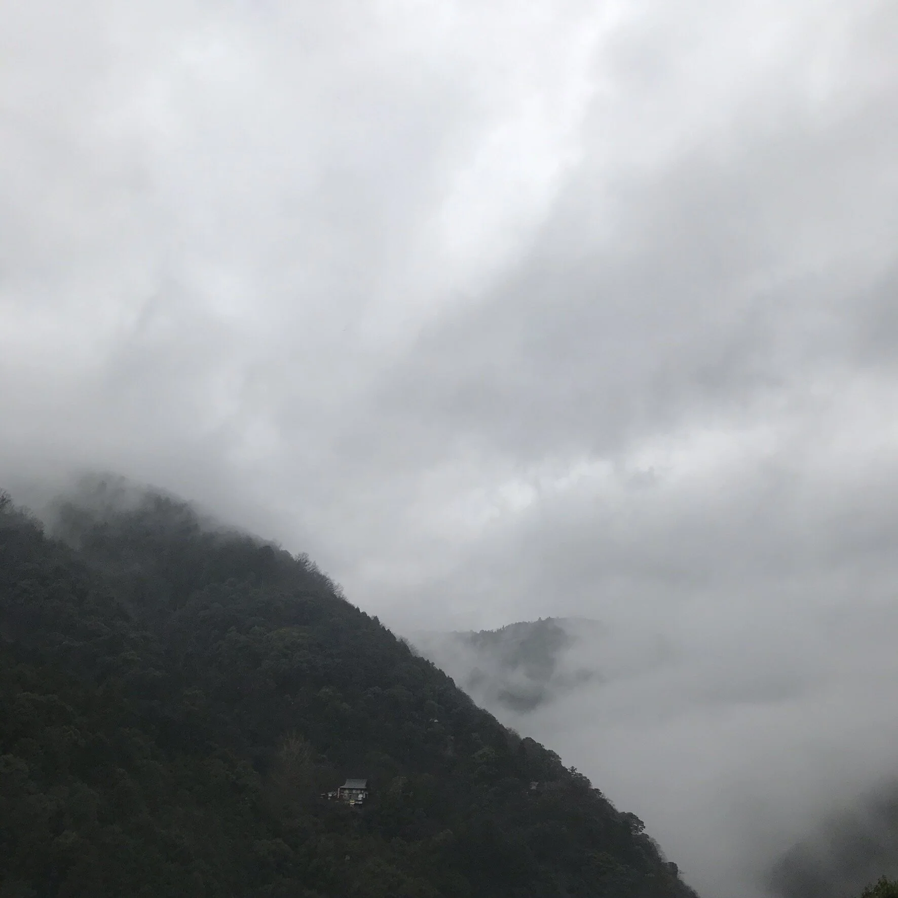 IMG_7658.jpeg