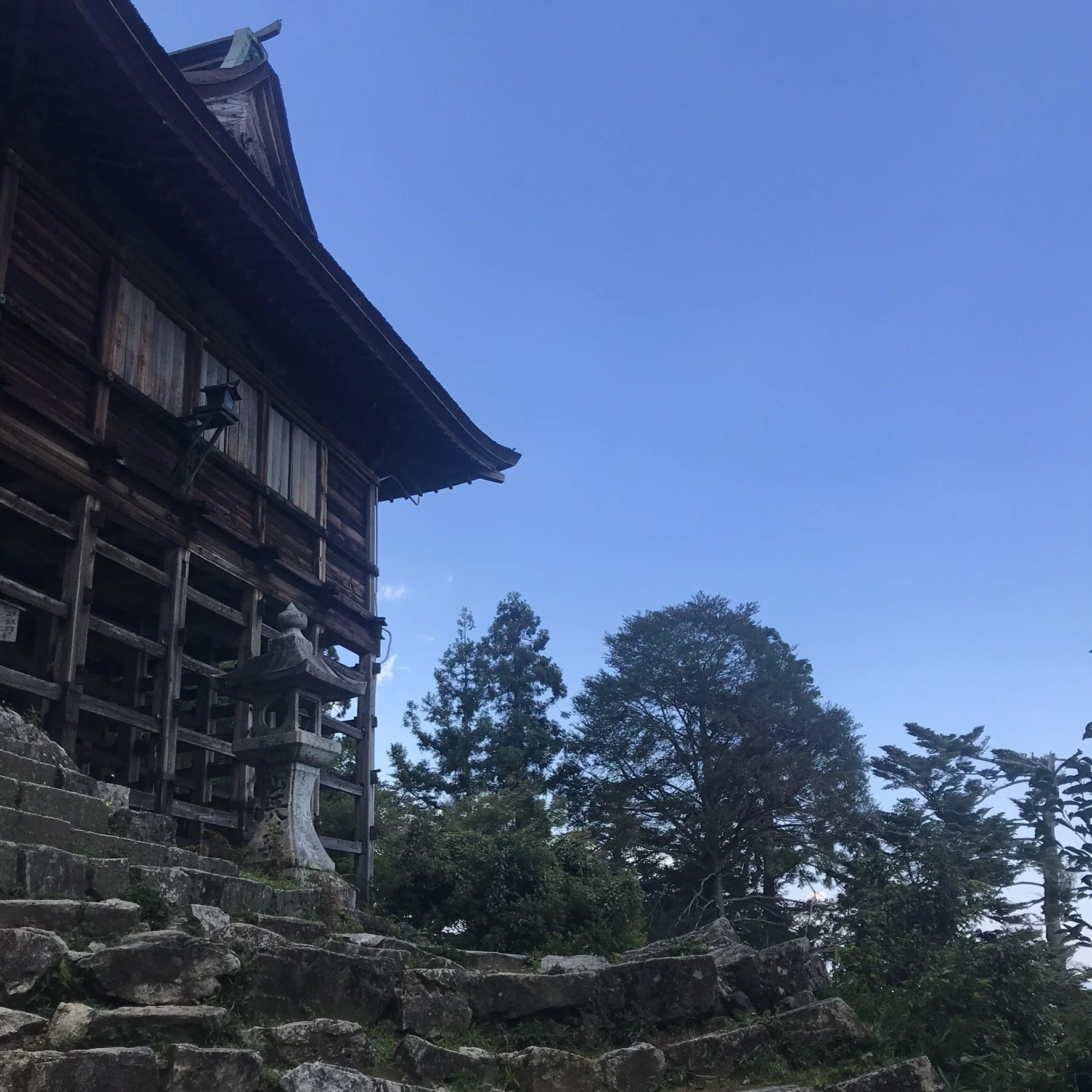 IMG_3538.jpeg