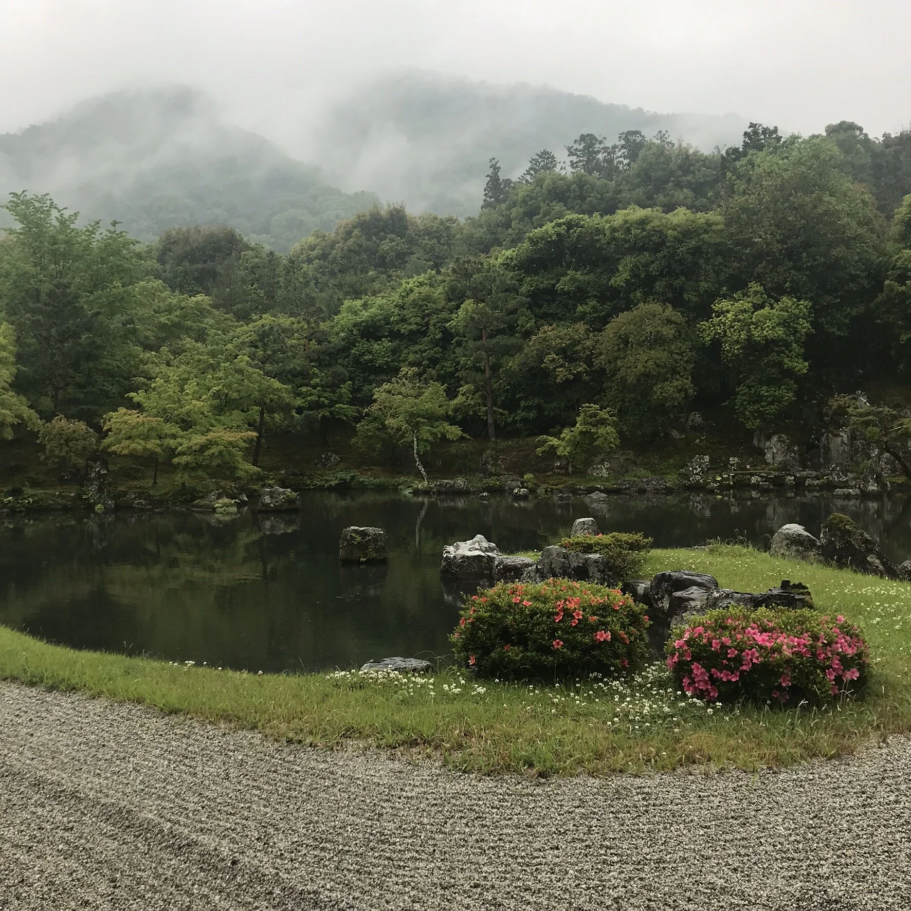 IMG_9837.jpeg