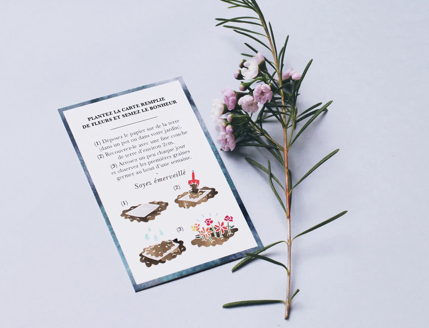 carte-explication-cartes-à-planter2.jpg