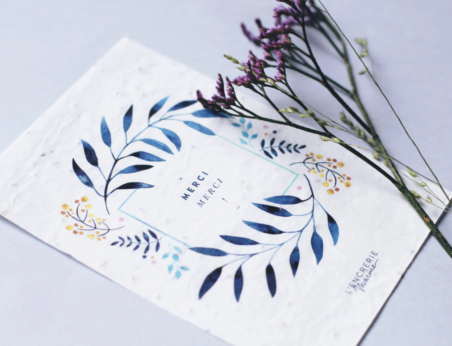 carte-à-planter-Merci-merci-macro.jpg