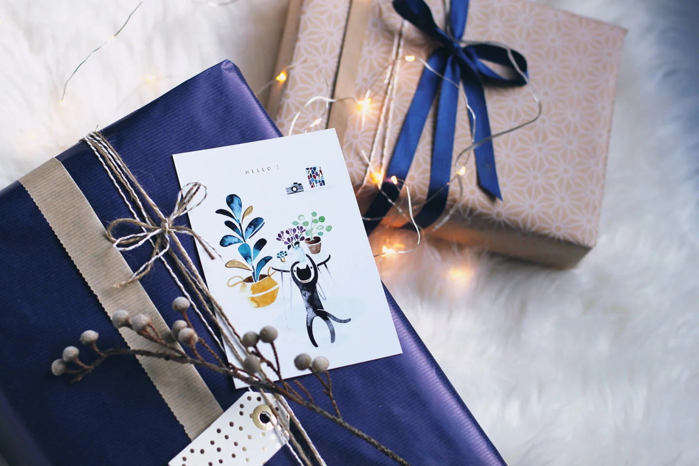 carte-dorure-chat-noel.jpg