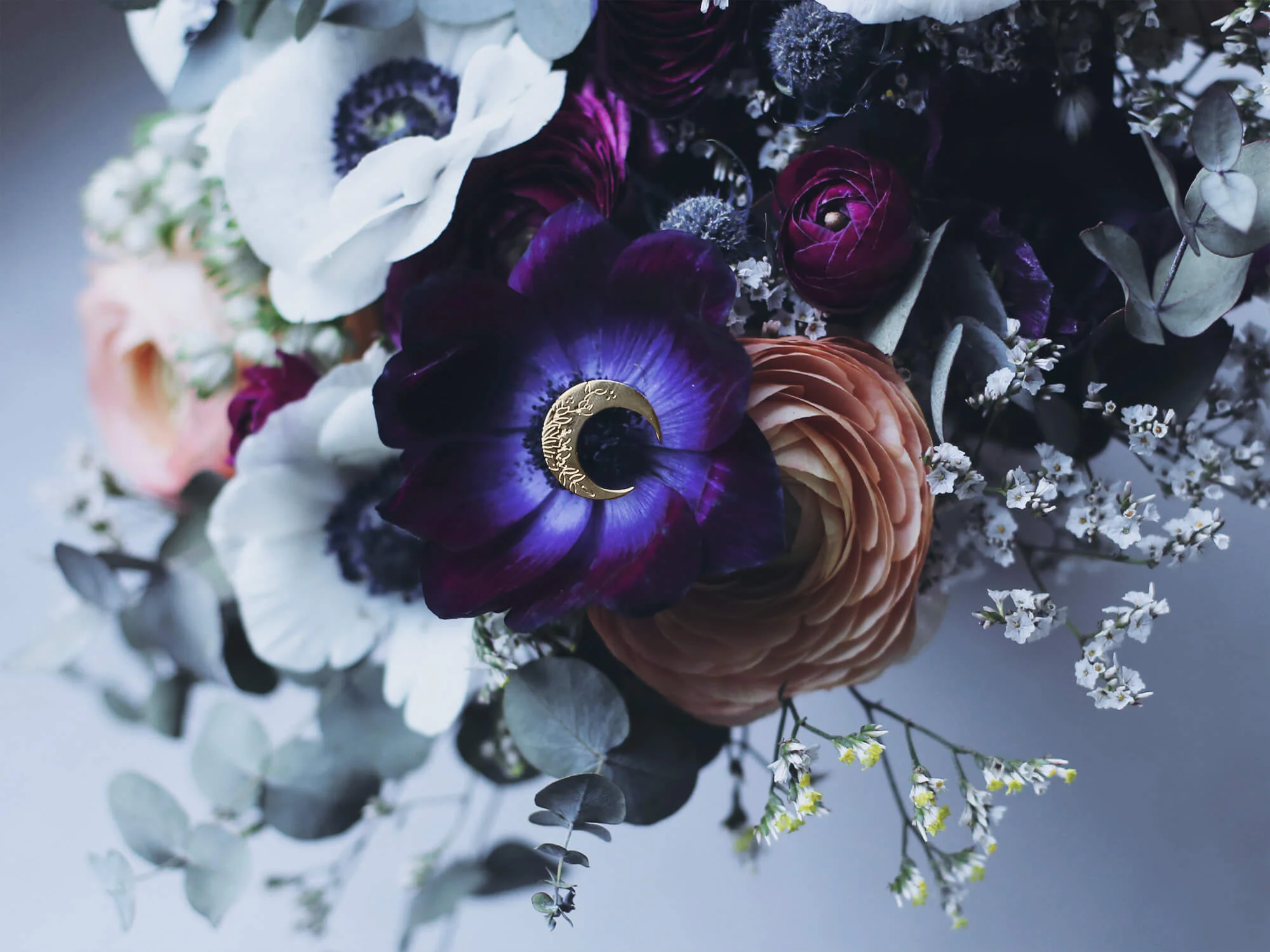 pins lune végétale fleurs.jpg