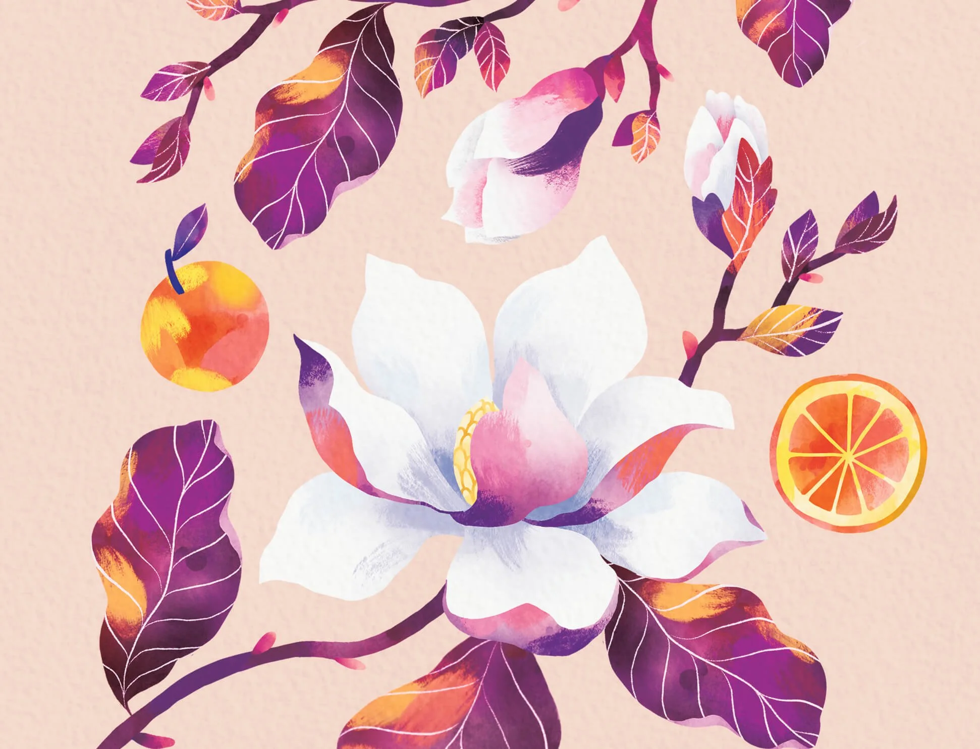carte detail illustration magnolia oranges cmjn A4 copie 3.jpg