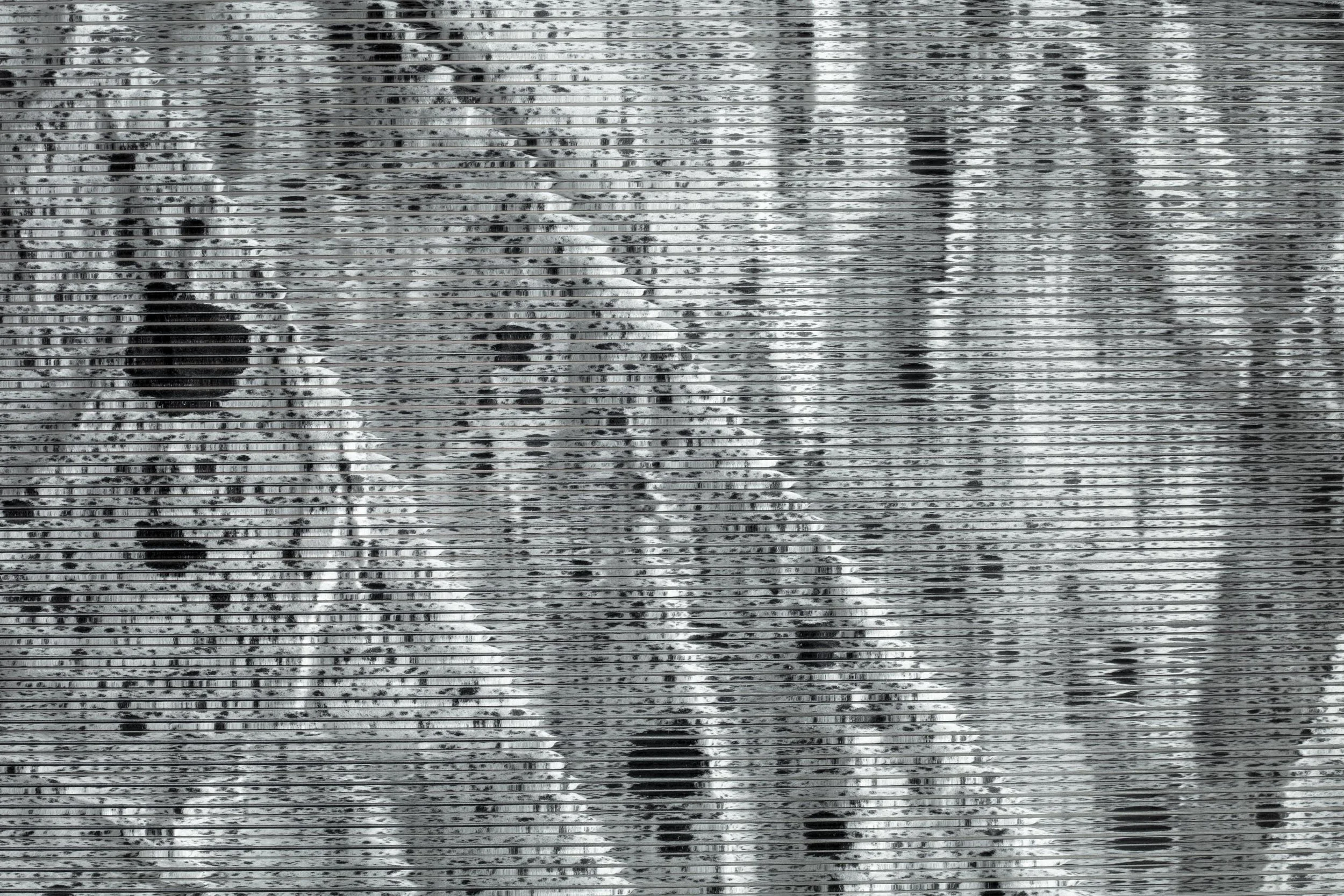   Verklärte Nacht (Transfigured Night) / Part IX (Quadriptych),  2024 - Detail Ink on Xuan paper on mirror beneath linear Plexiglas, aluminium frame 