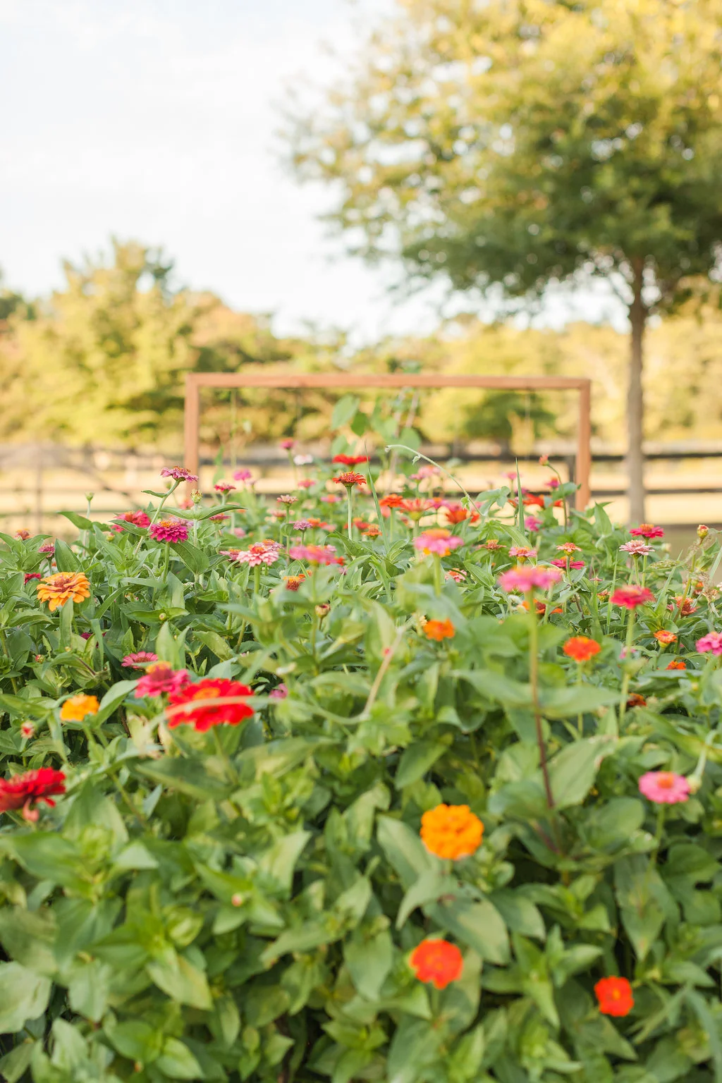 GreenValleyFarms-30.jpg