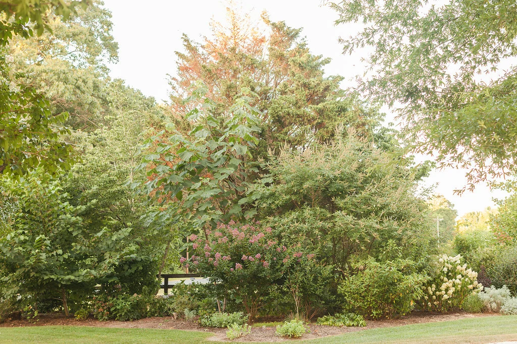 GreenValleyFarms-64.jpg