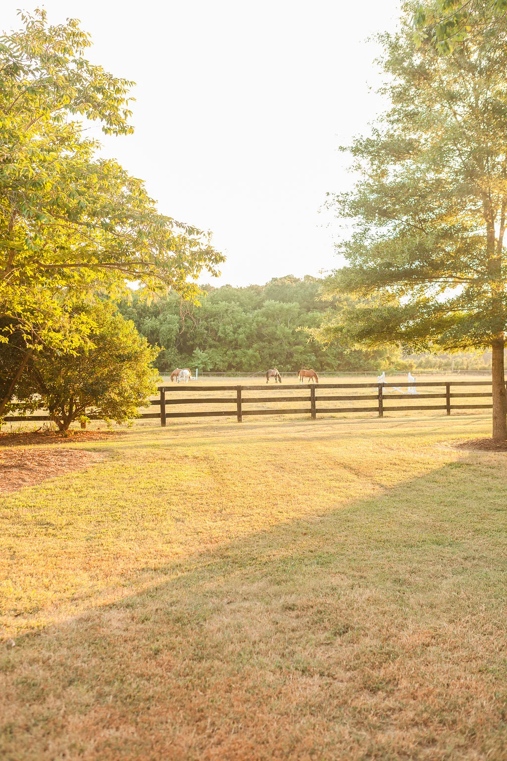 GreenValleyFarms-79.jpg