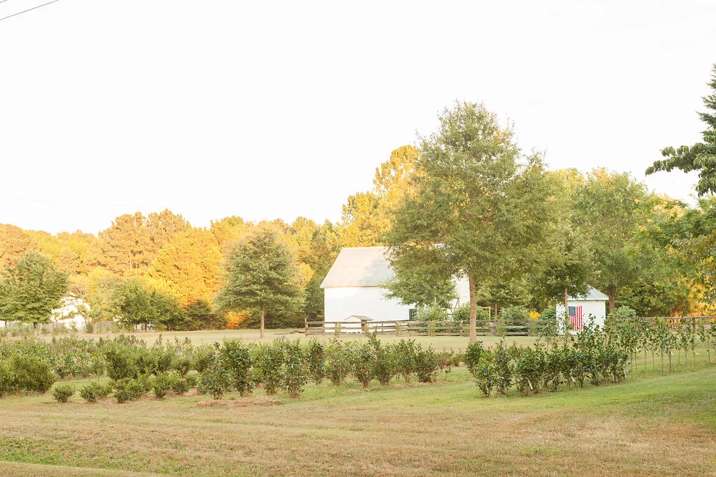 GreenValleyFarms-87.jpg