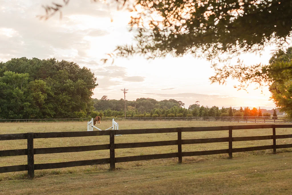 GreenValleyFarms-158.jpg