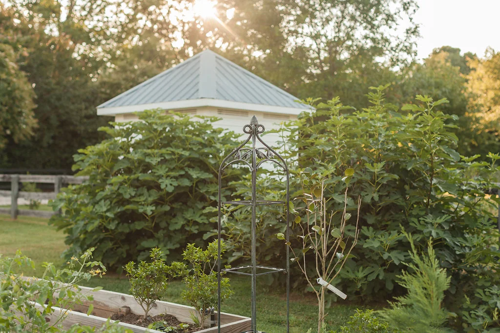 GreenValleyFarms-162.jpg