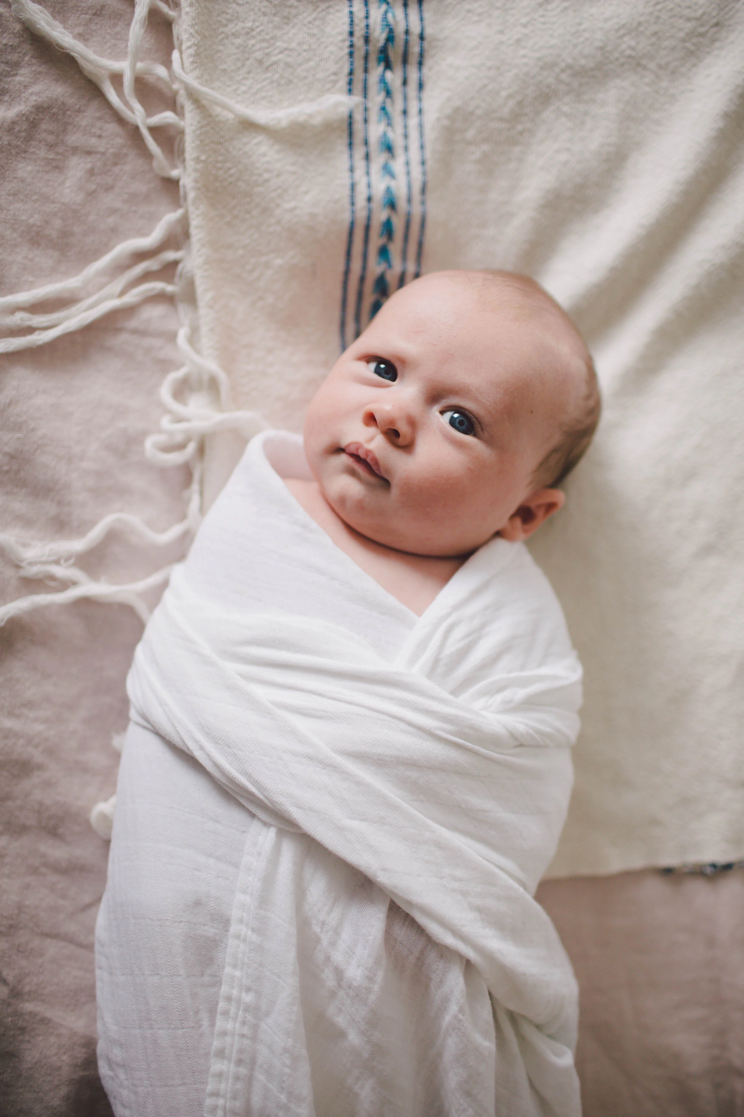 venice beach intimate lifestyle newborn session