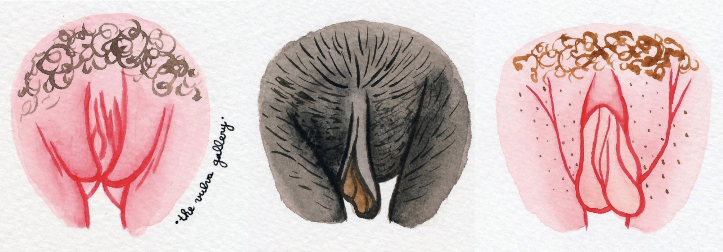 Three totally normal vulva from @the.vulva.gallery