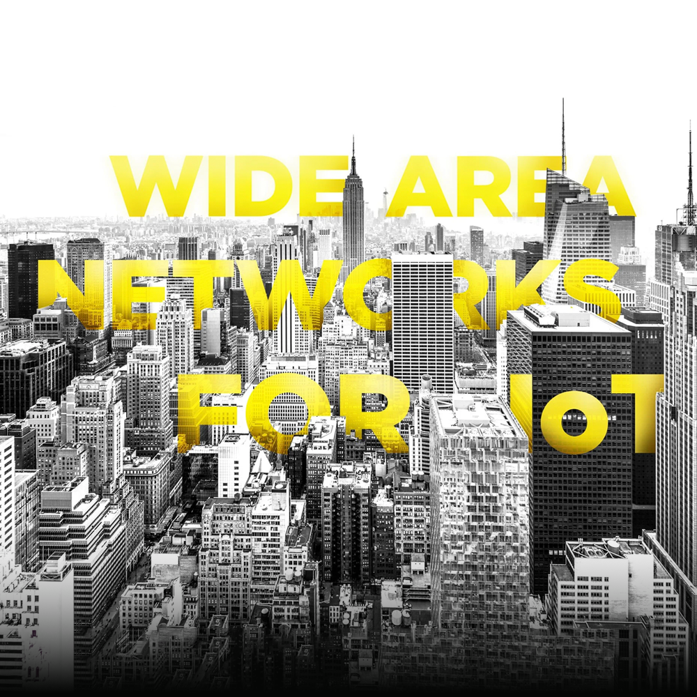 LoRa Alliance: Brand Development