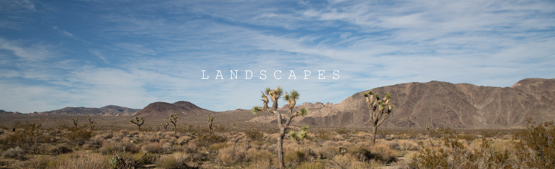 Landscapes.jpg