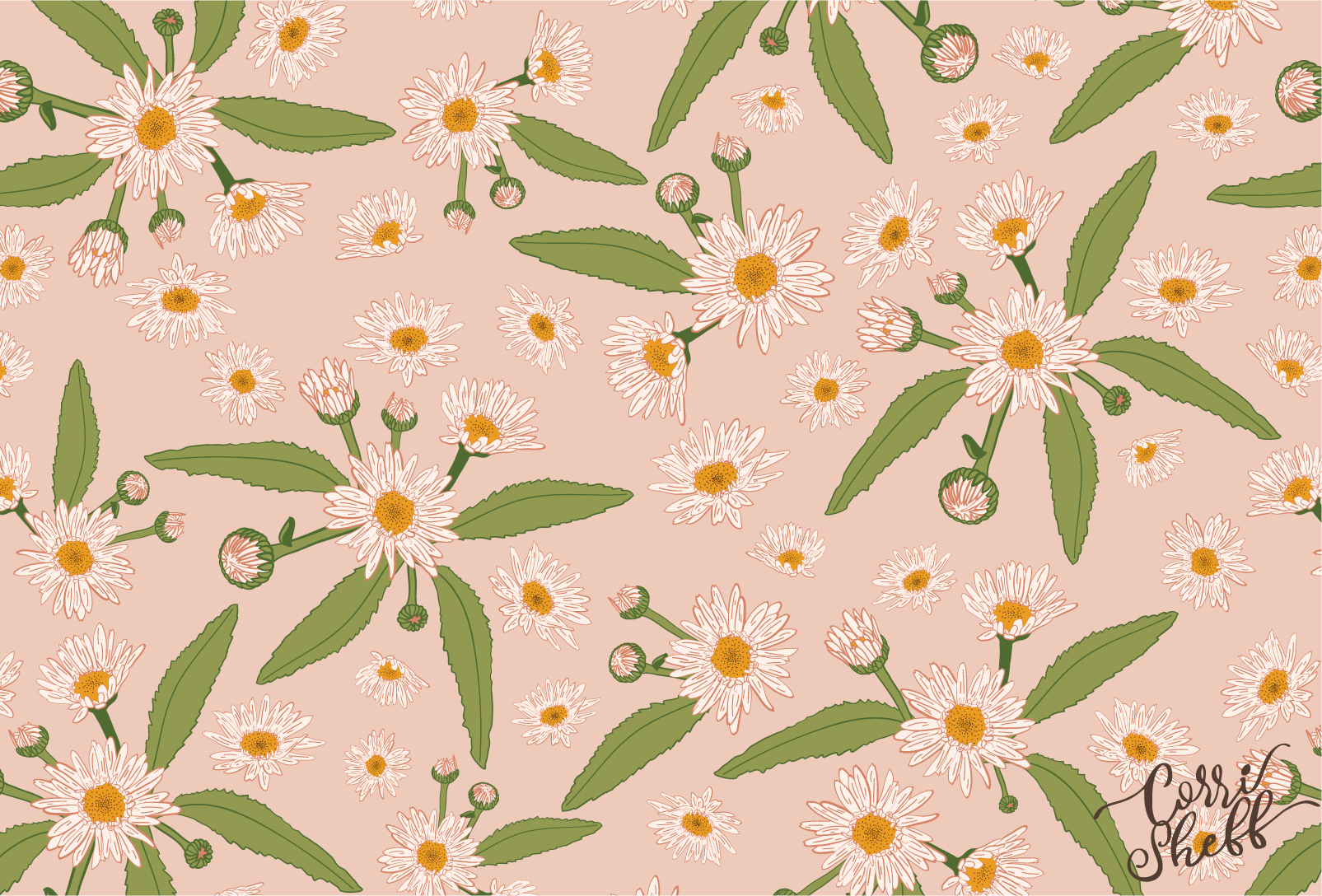 daisies@4x.png