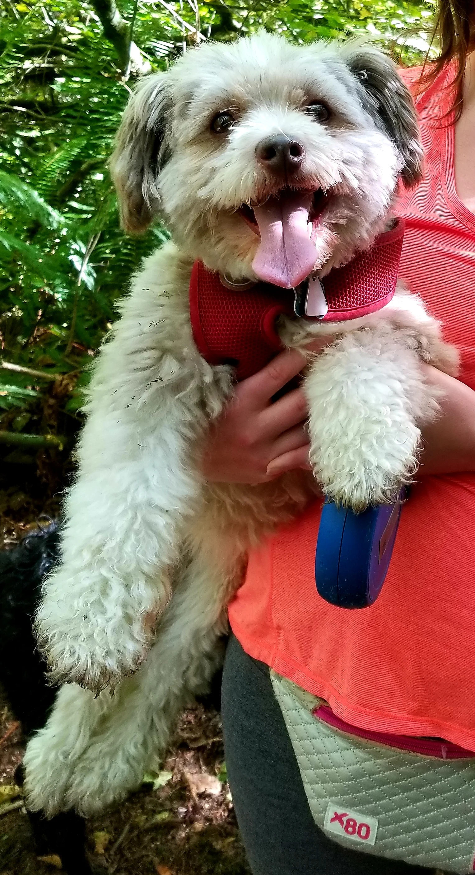 This is Luna, submitted by Kate