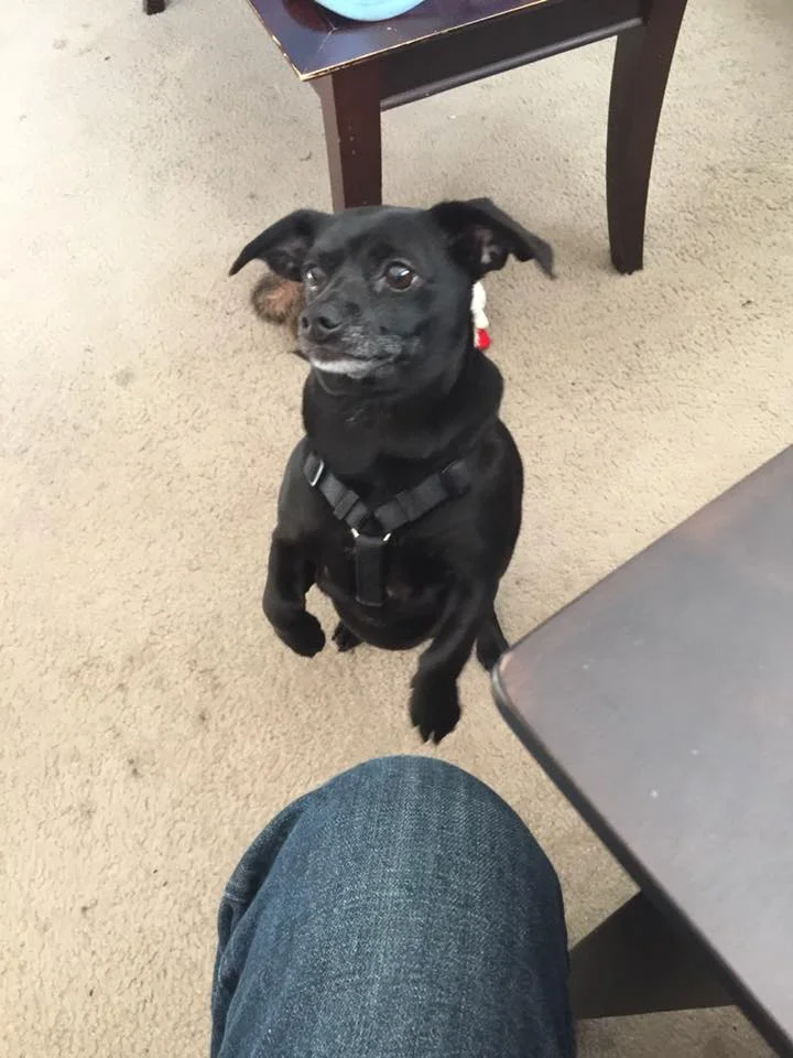 This is Jack, submitted by Thomas
