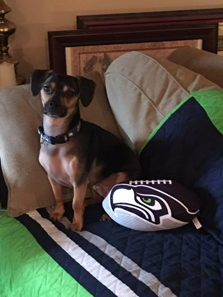 This is Wilson, submitted by Sherry