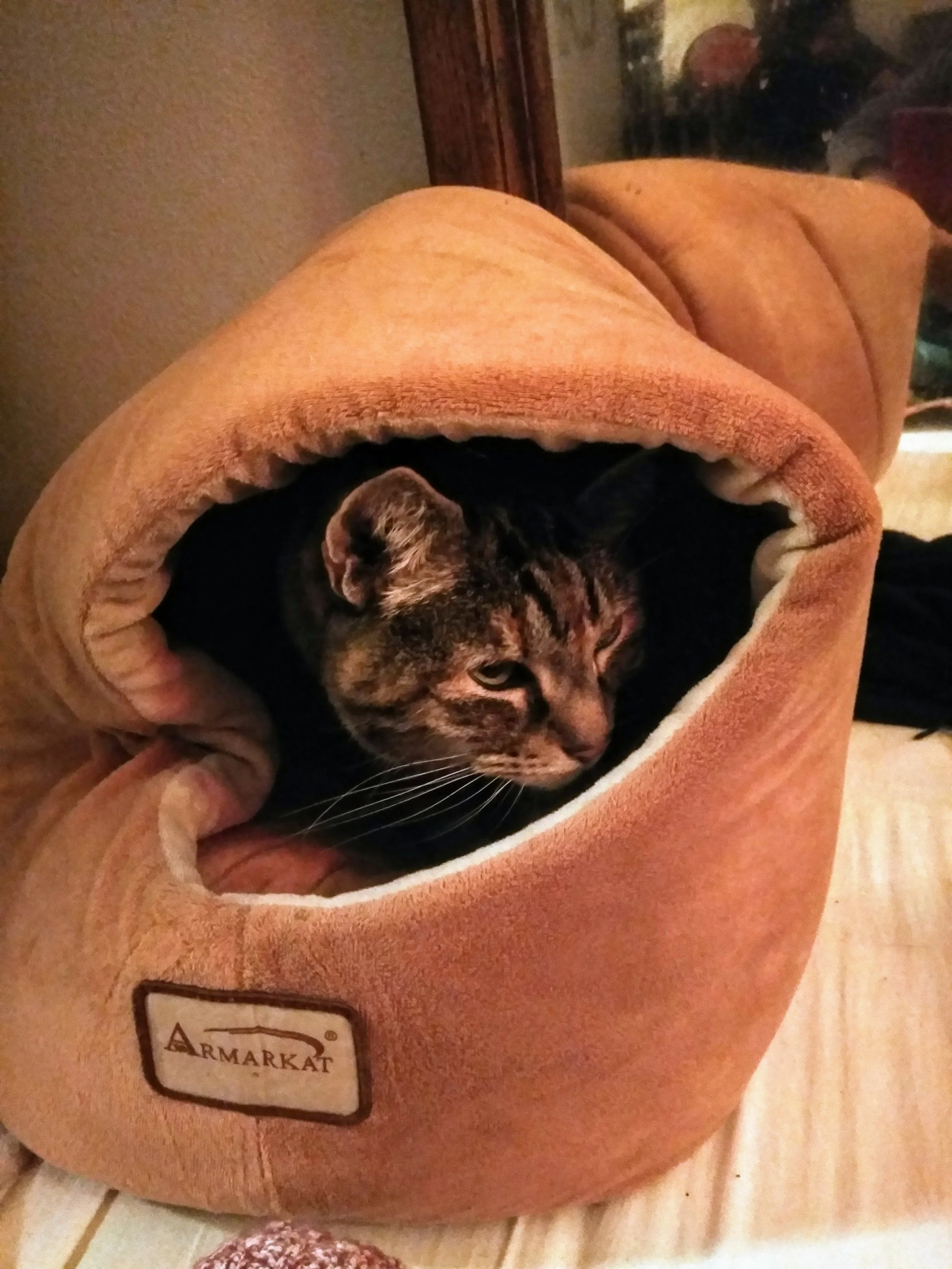 This is Kiaya, submitted by Gina