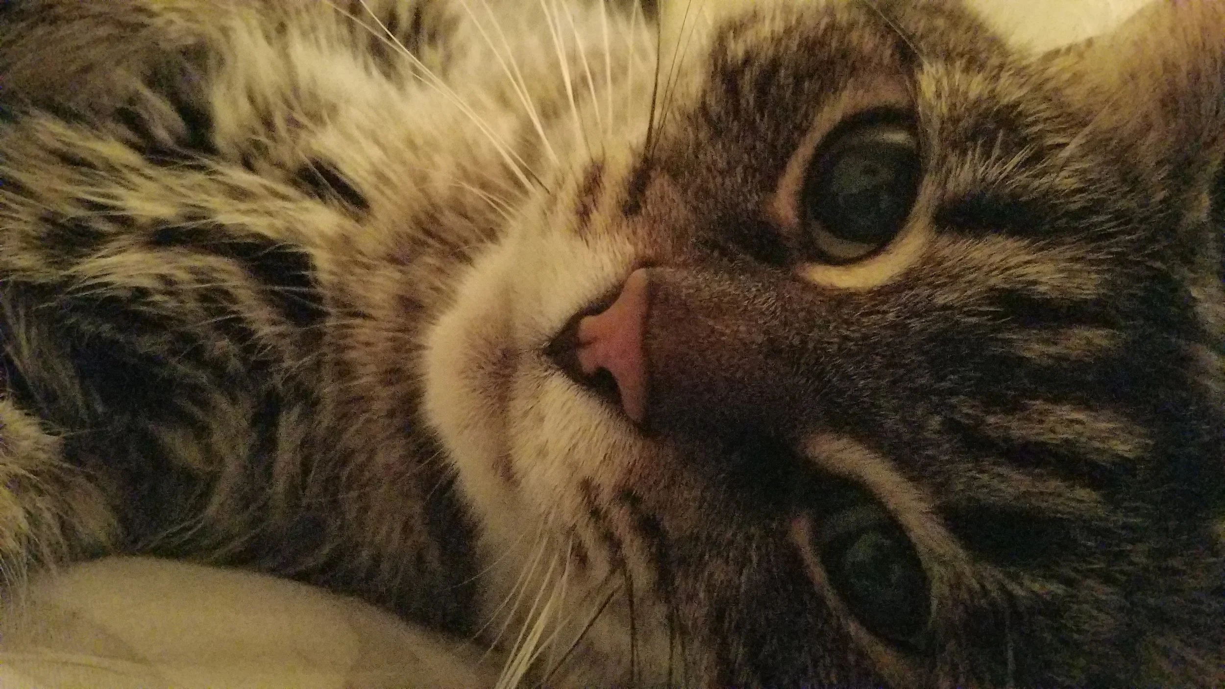 This is Sasuke, submitted by Jeremy
