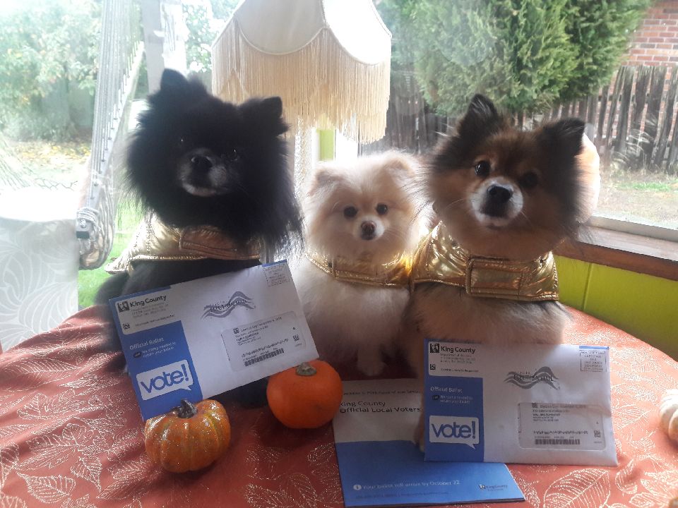 This is Markybear, Sidney, and Samson, submitted by Lori