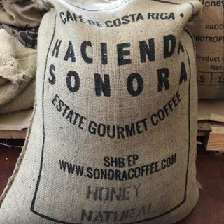 Costa Rica SonoraHoney.jpg