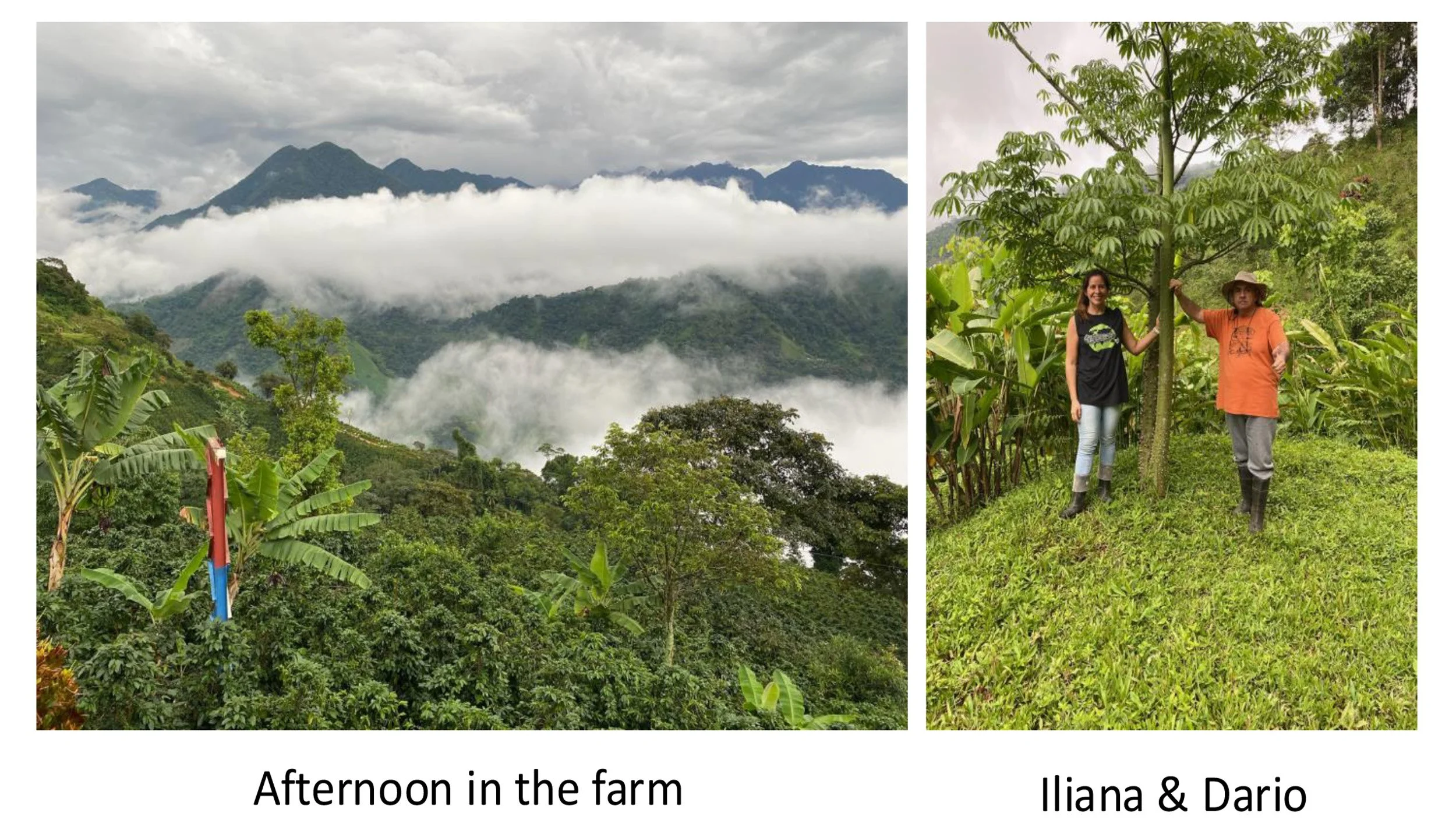 Iliana with her father at their Colombian Farm Finca Porvenir