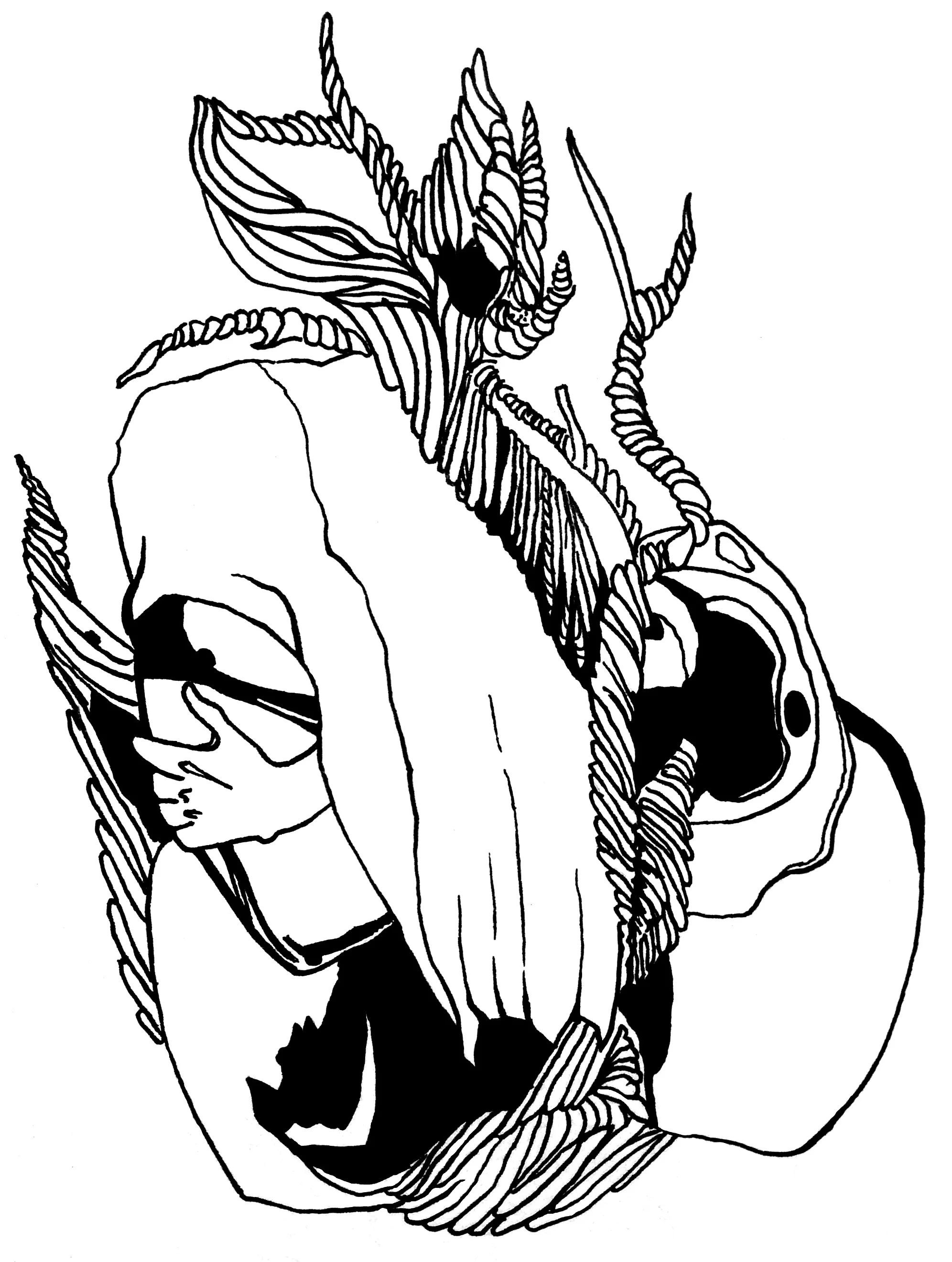 aries final.jpg