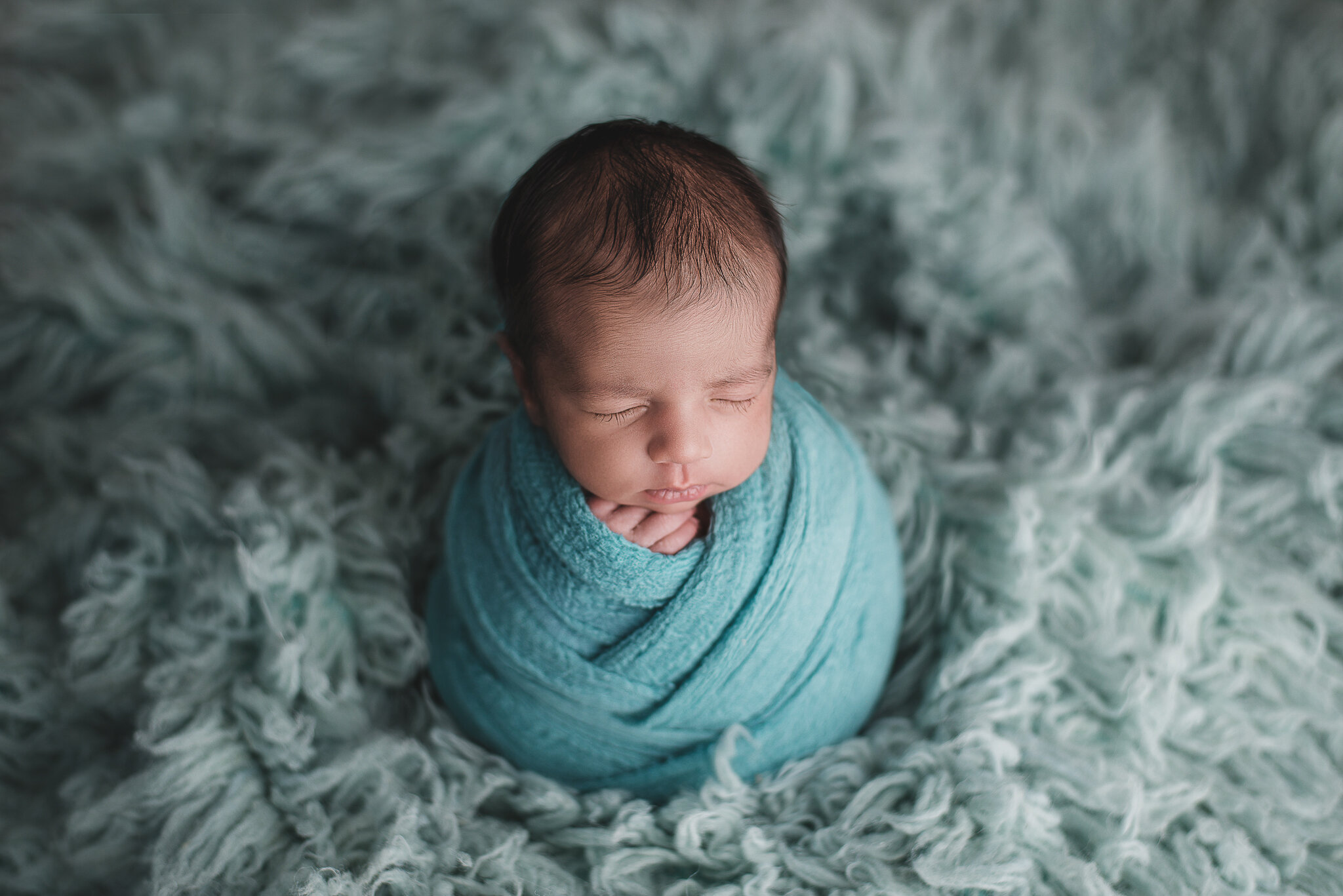 calgary newborn photo baby photographer