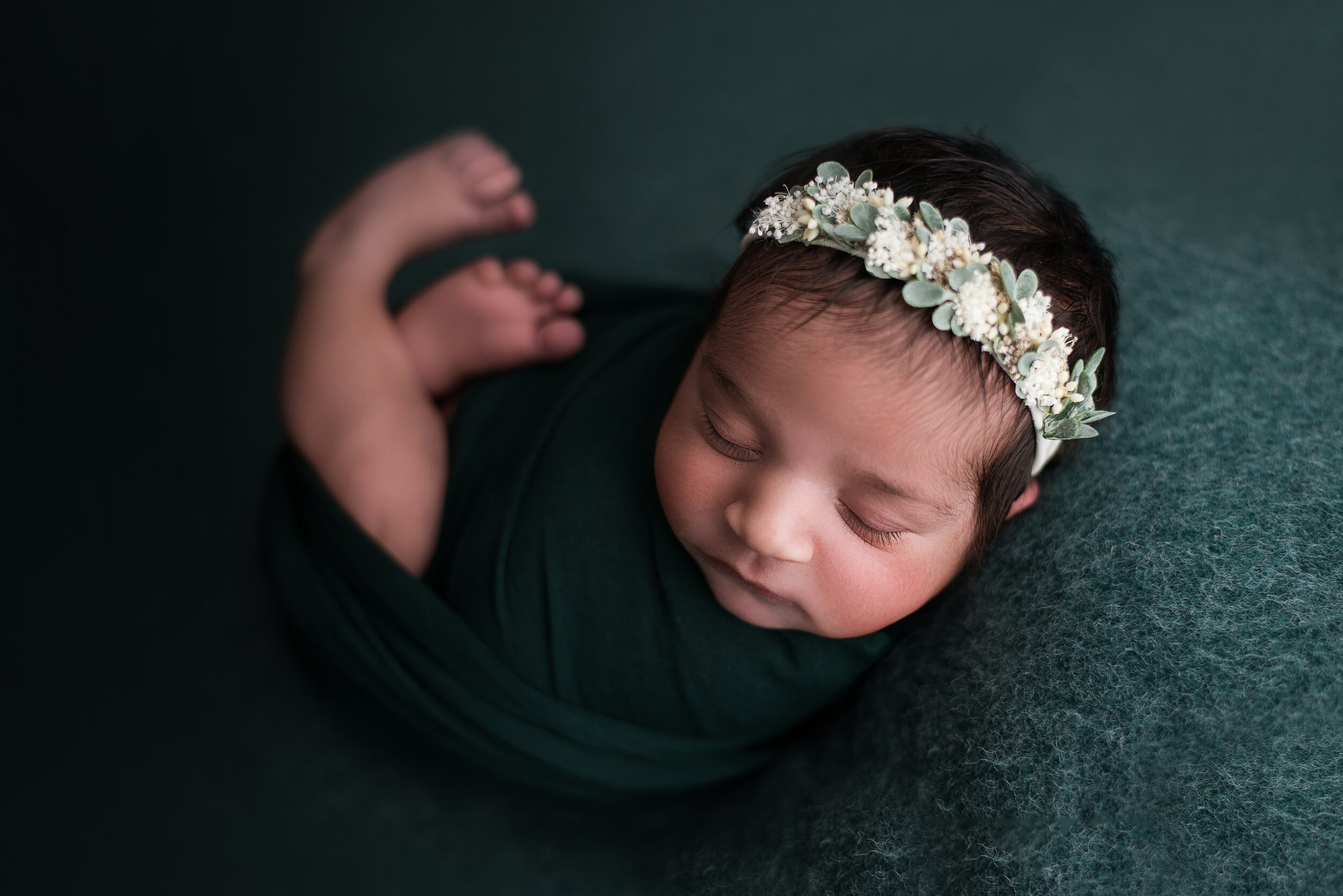 Calgary Newborn Photographer — Purple Bow Photography Professional Newborn  Photographer