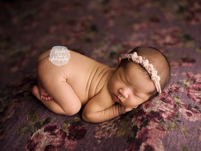 💜💜💜#yycnewbornphotographer #yycbabyphotographer #calgarybabyphotographer #calgarynewbornphotographer #newborn #portraits #bumuppose #babyportrait #newbornsession #bestnewbornphotos #albertaphotographer #alberta #yyc #yycmoms #calgary #yycnow #calg