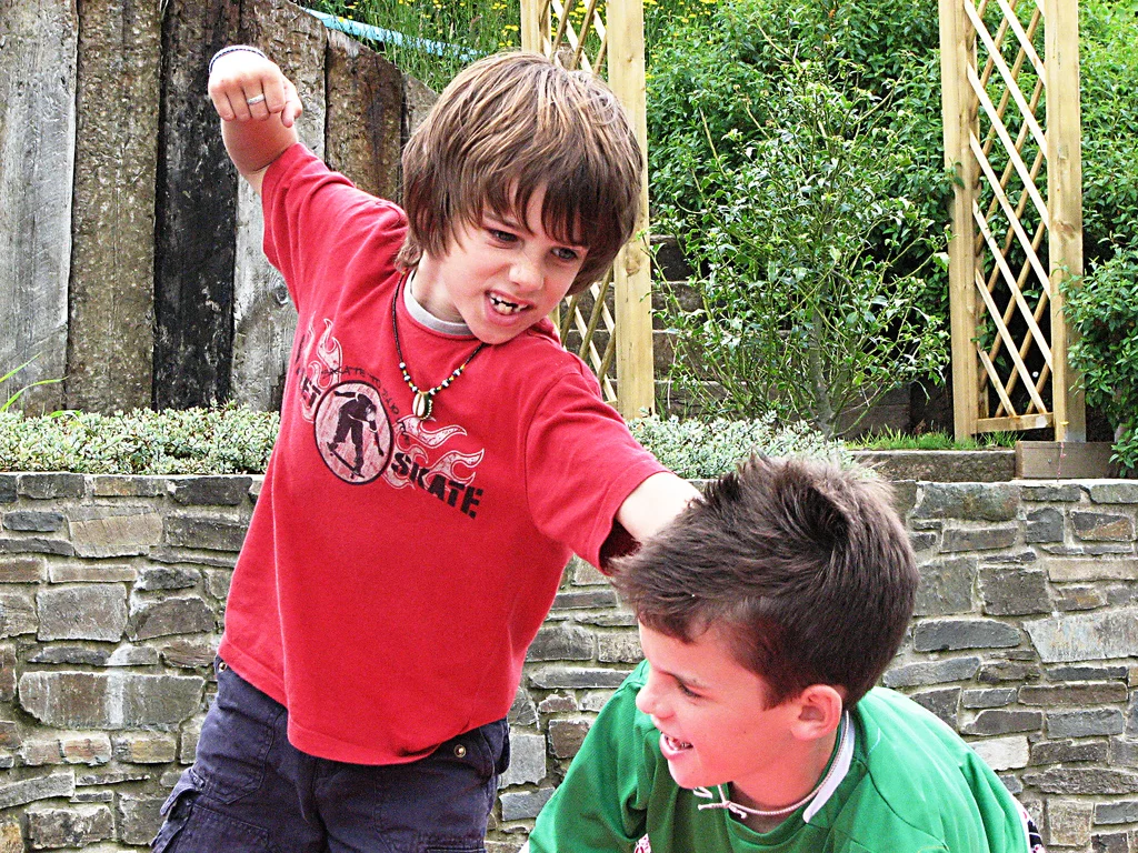 “Sibling rivalry”