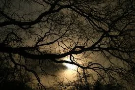 "The darkness of the womb"