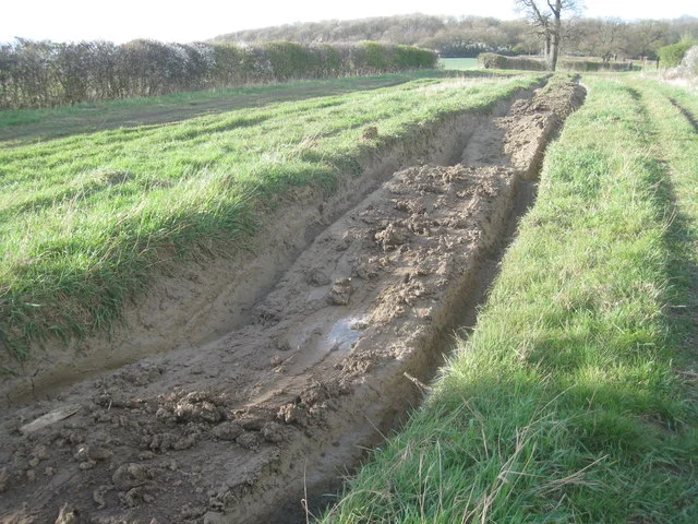 "Lay down your life"