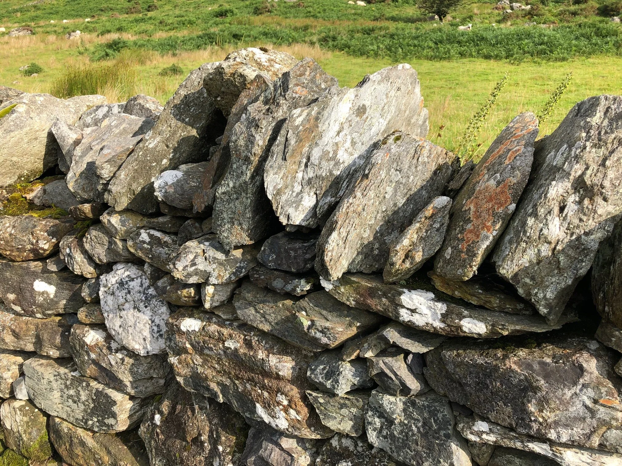Stones of Life, Stones of Death