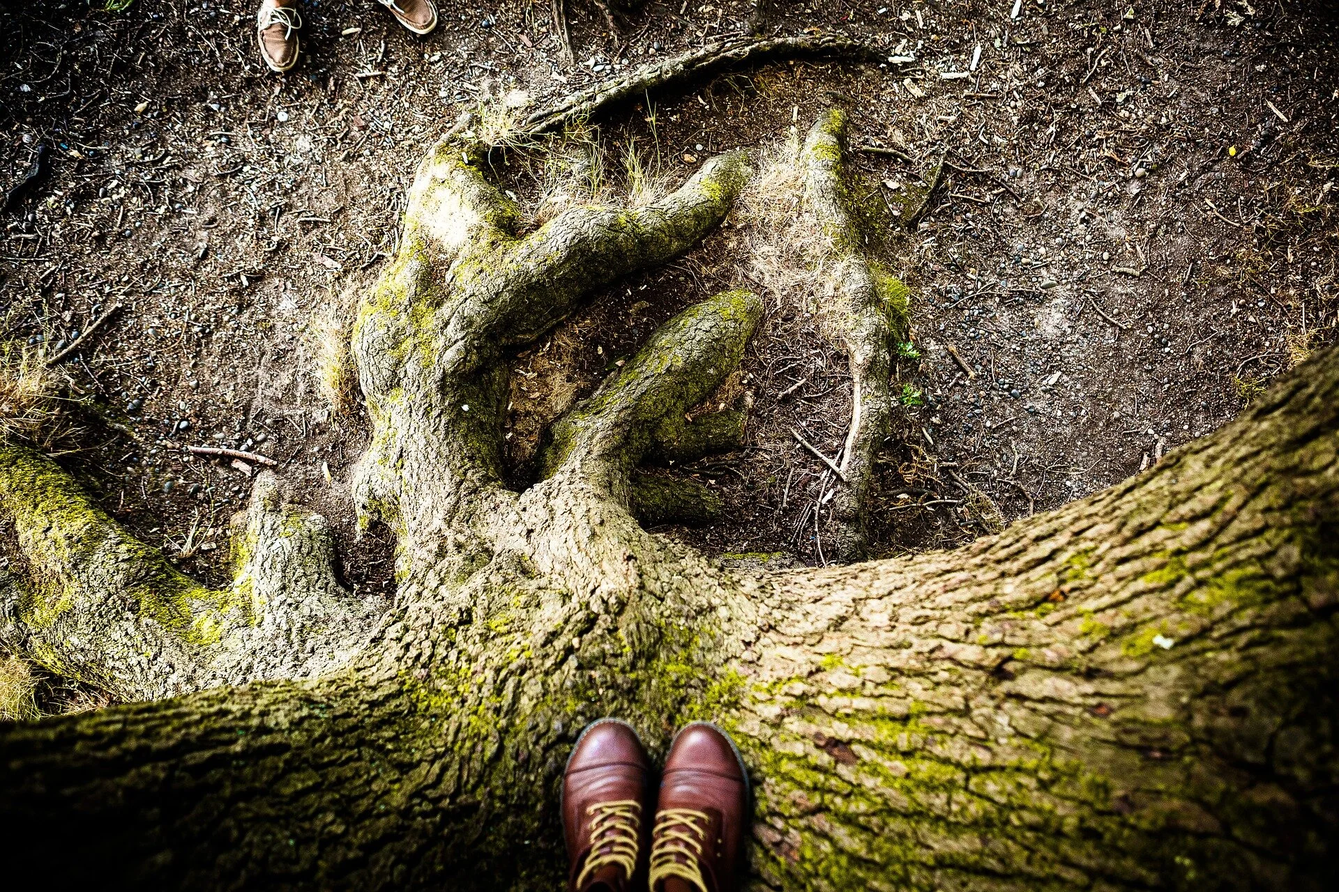 Easter 2021: It begins in the garden
