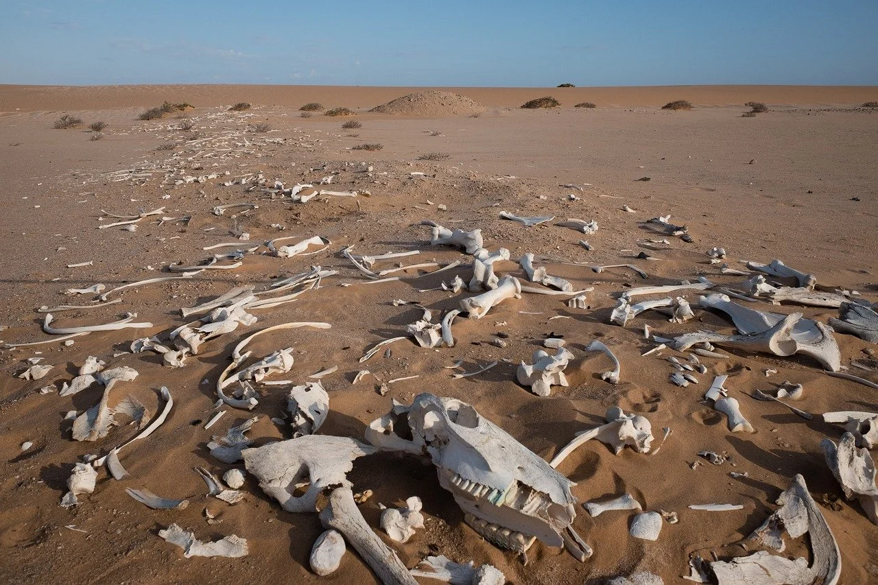 Breath and dry bones