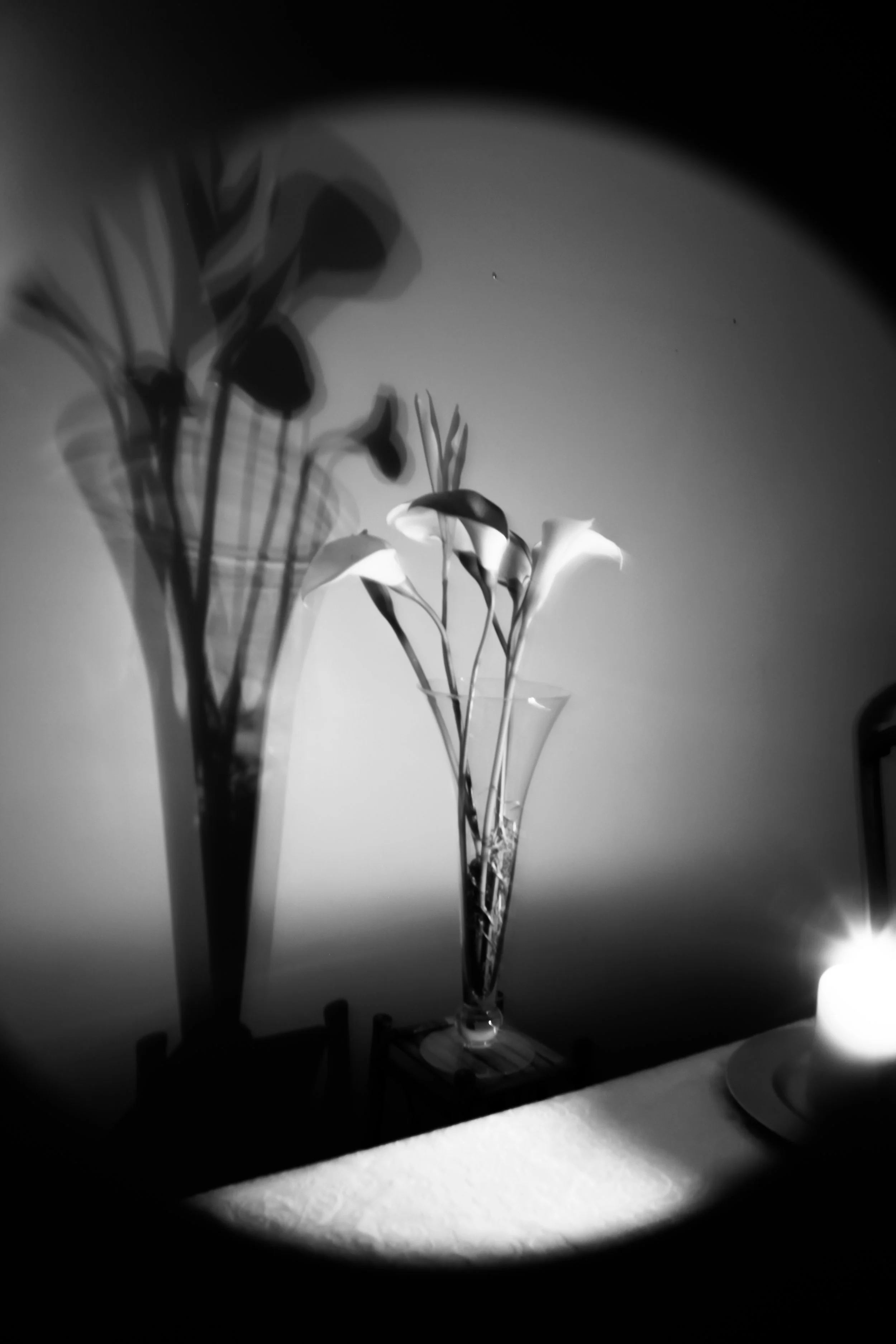 B&W Flower.jpg